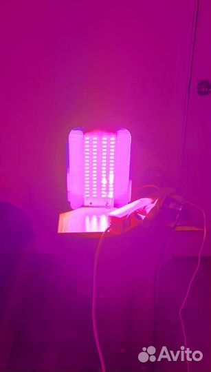 Фито светильник 100w