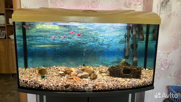 Панорамный аквариум aquael 95 литров тумба графит