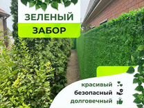 Зеленый забор - сетка рабица / Свое производство