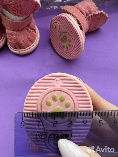 Ботинки для собак