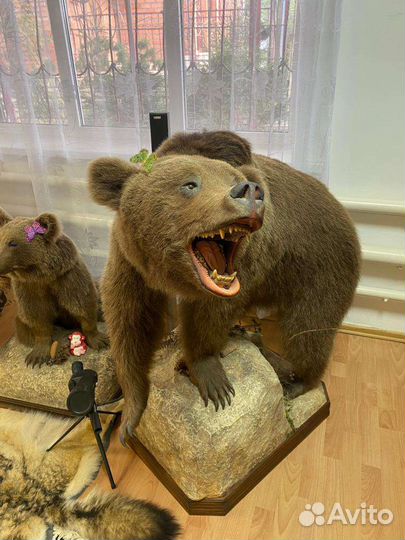 Чучело мишки