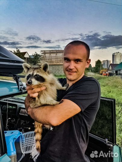 Фото с Енотом