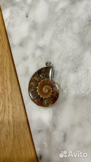 Аммонит подвеска