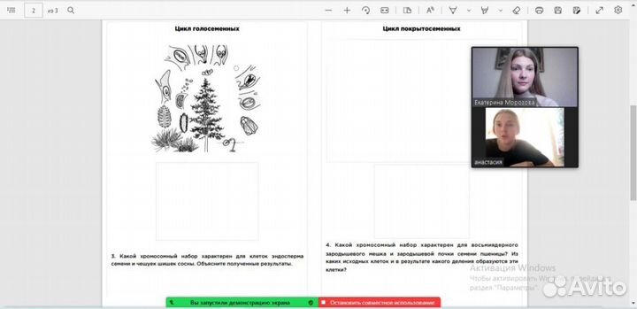 Репетитор по химии и биологии