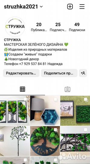 Картина/панно из живого мха