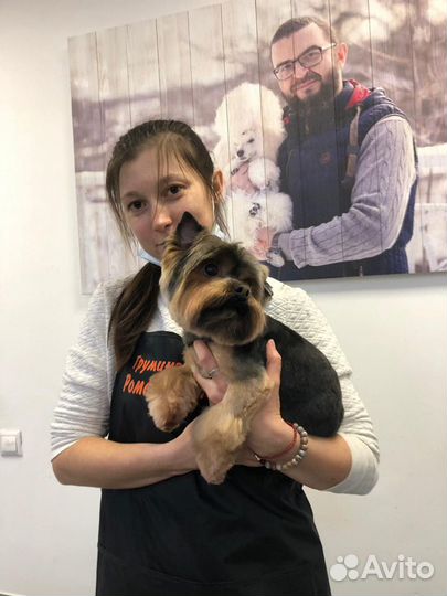 Грумер, стрижка собак, тримминг. Чистка зубов