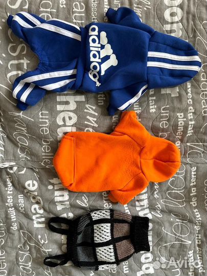 Одежда для маленькой собаки