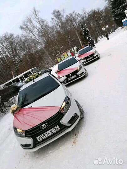 Свадебный кортеж
