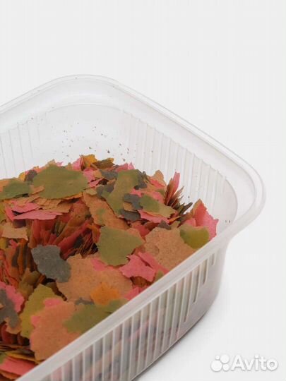 Нанокары, сапфировые попугаи,корм