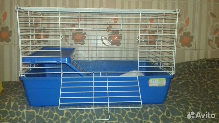 Для грызунов и птиц размер разный центр