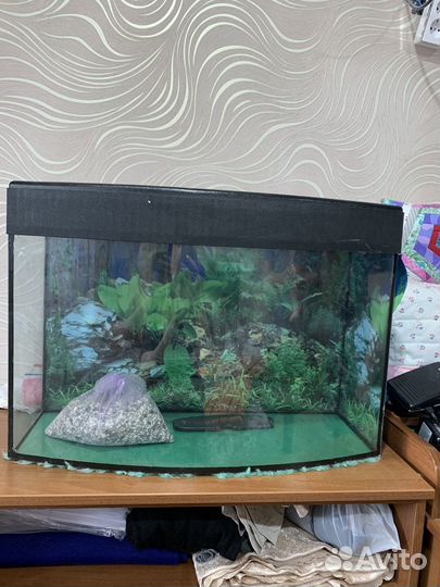 Аквариум