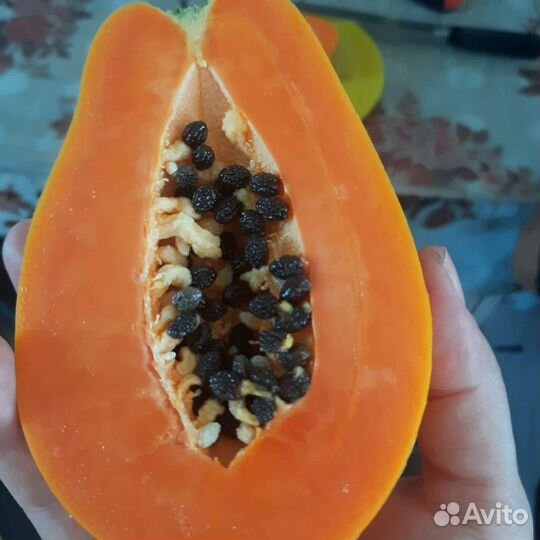 Папайя 3 сорта, семена свежие