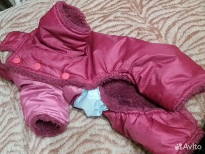 Одежда для собак,кошек