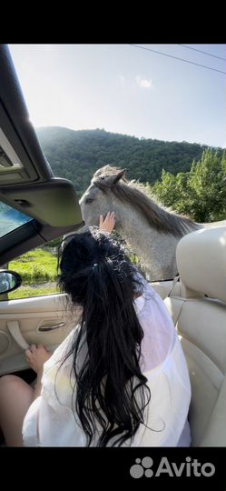 Кабрио тур экскурсия в Абхазию, Поляна, Сочи