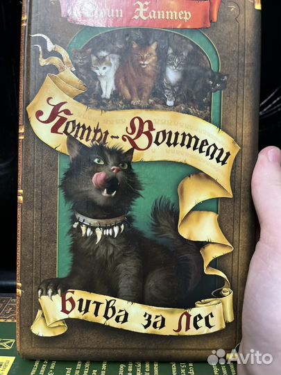 Коты-воителиЗемля королей