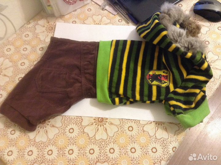 Комбинезон для собак