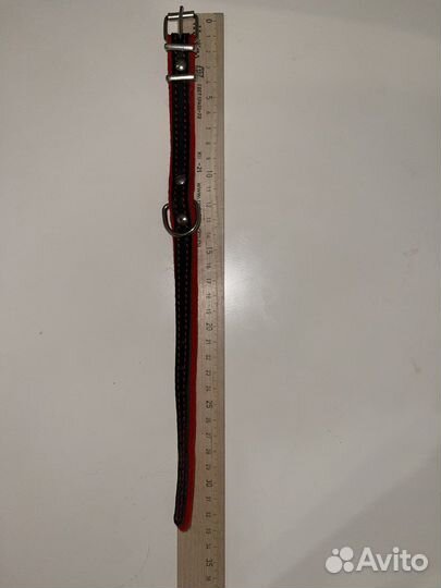 Ошейник для маленькой собаки