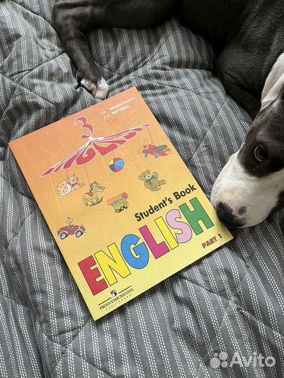 Английский язык 3 часть 1 Верещагина Притыкина