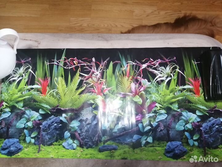 Тэн для аквариума