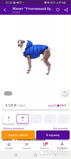 Комбинезон и жилет