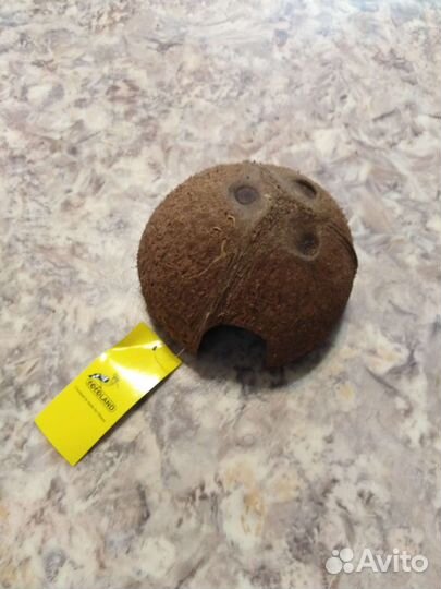 Кокос - укрытие, домик