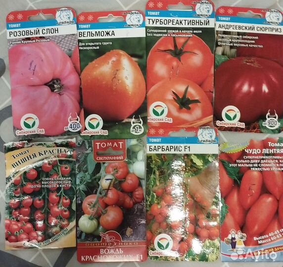 Рассада перца и томатов