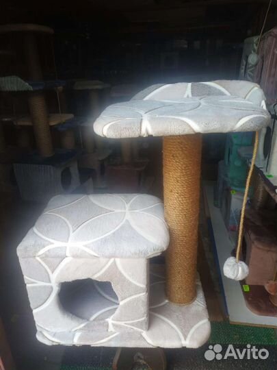 Когтеточка