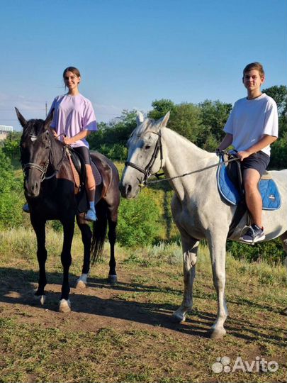Конные прогулки, занятия верховой ездой, аренда