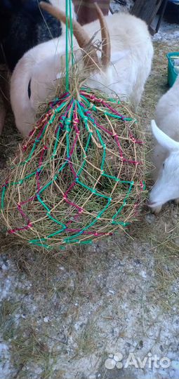 Сетка для сена. Рептух
