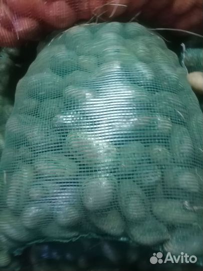 Продам картофель