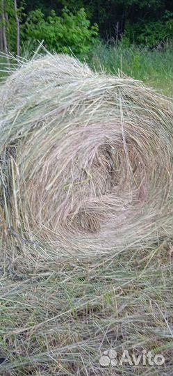 Продам сено в тюках