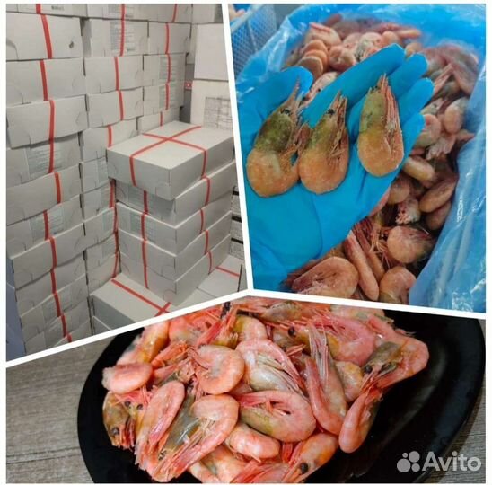 Креветка, крабы, мидии, рыба, морепродукты опт