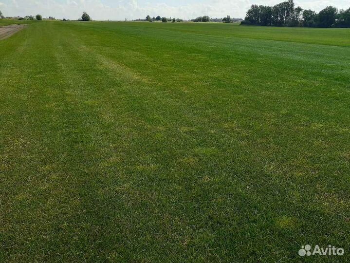 Укладка и продажа газона