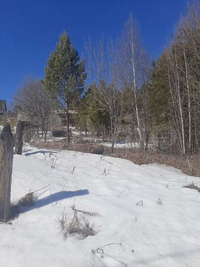 Участок 10 сот. (СНТ, ДНП)