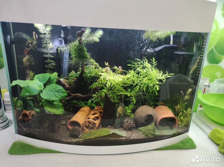 Аквариум 50 литров