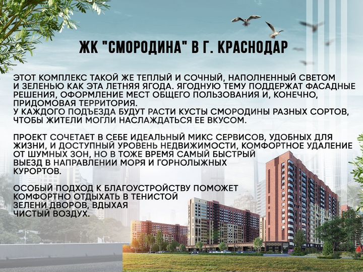 1-к. квартира, 31 м², 14/19 эт.