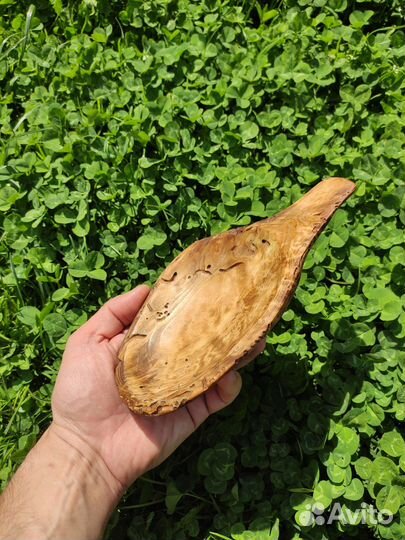 Плоская чаша для подачи из сувели ели. Древоточец