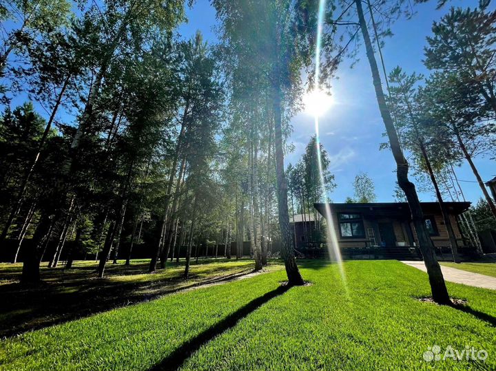 Укладка газона под ключ