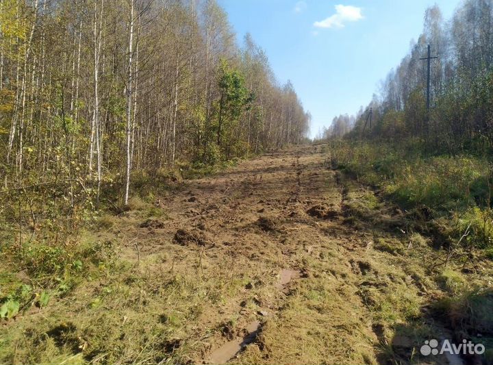 Аренда мульчера