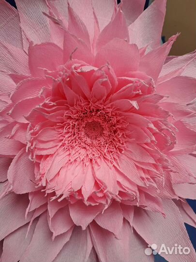 Цветы на праздник