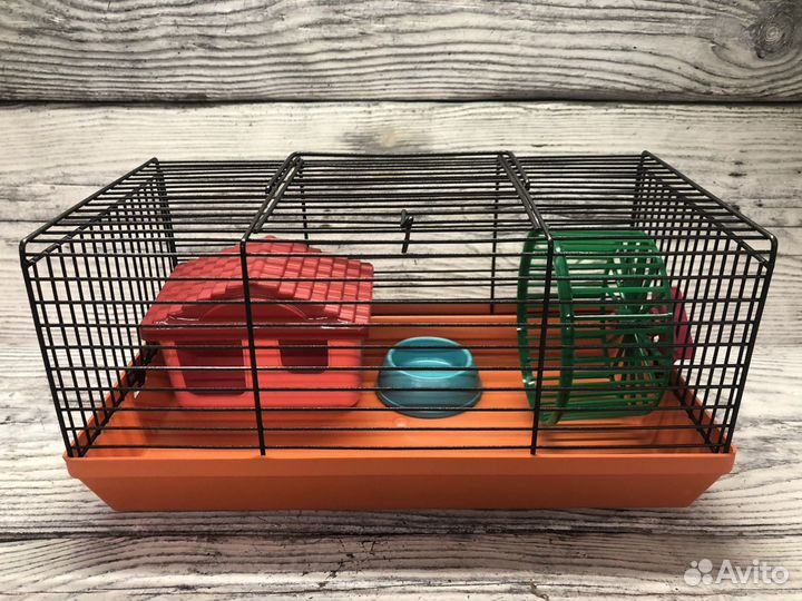 Новая клетка для хомяка джунгарика, джунгарского