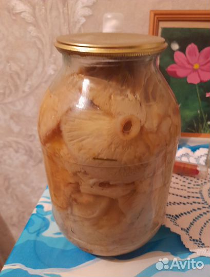 Грибы грузди соленые