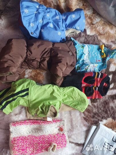 Одежда для маленьких собак