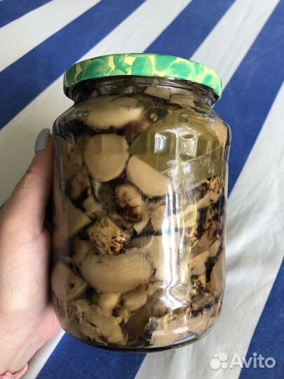 Грибы разные