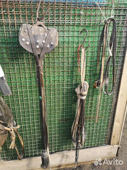 Продам сбруя