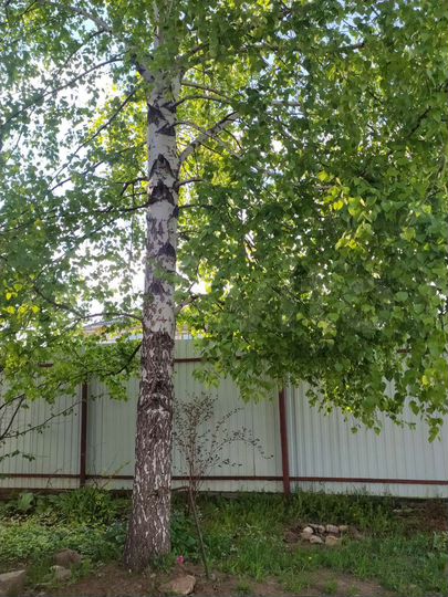 Коттедж 233 м² на участке 10 сот.