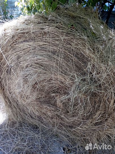 Сено в тюках