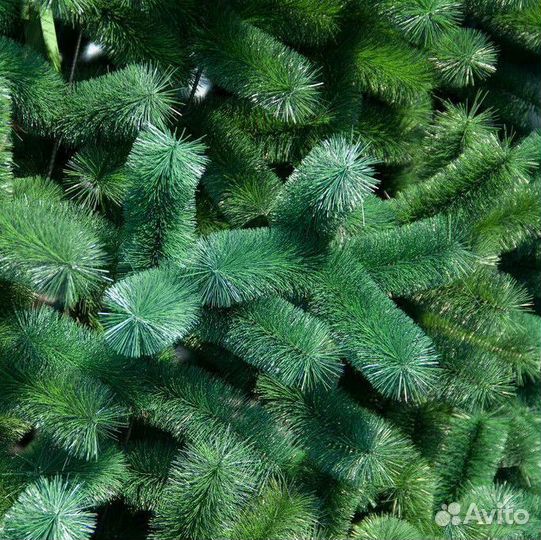 Зеленая елка (сосна) с шишками 180 см