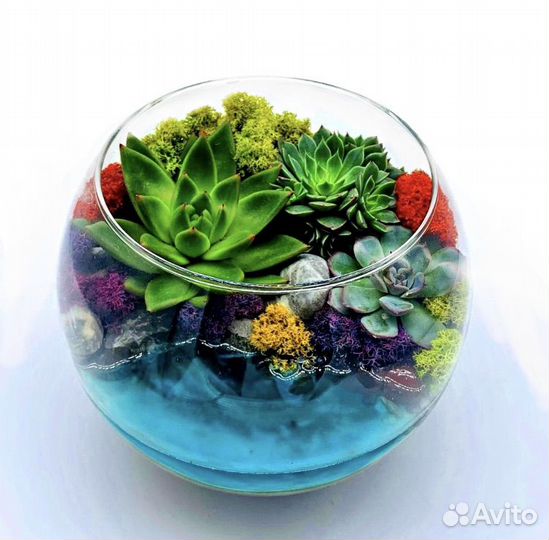 Флорариум светящийся