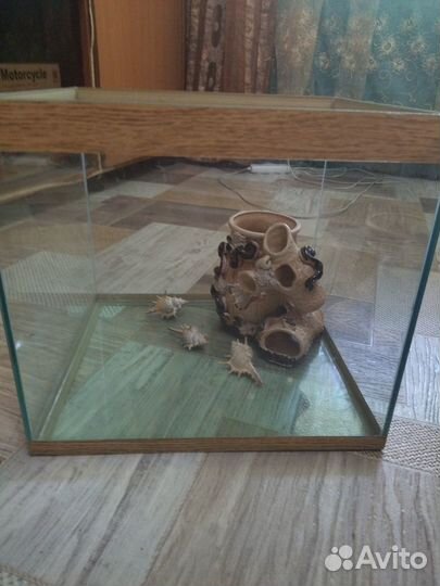 Аквариум